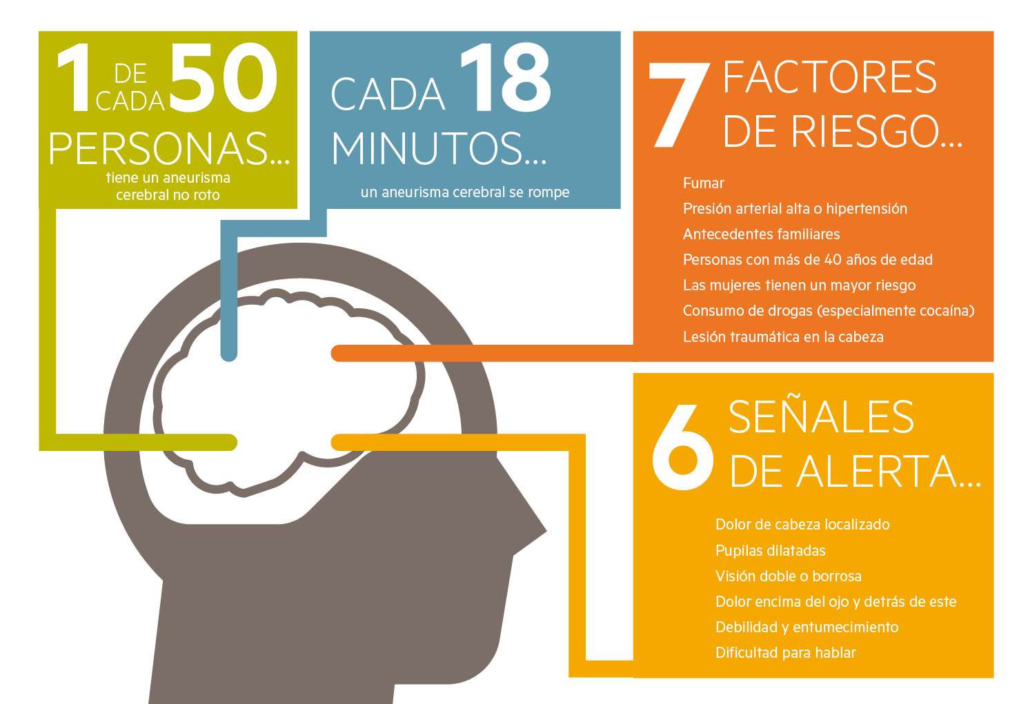 Fact Sheet, Spanish - Brain Aneurysm Foundation